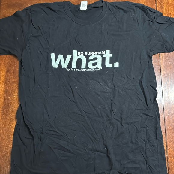 Mens Bo Burnham graphic tee - Picture 1 of 3